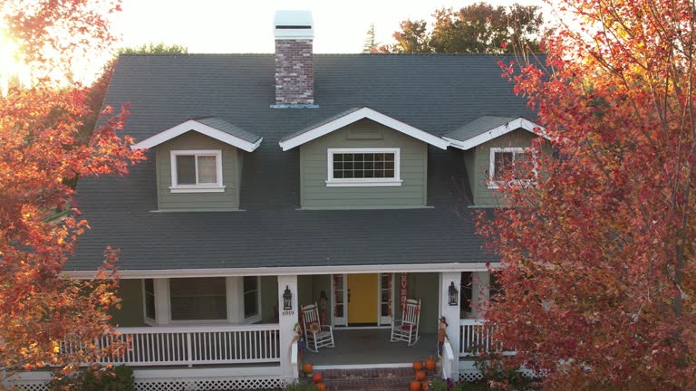 Best Chimney Flashing Repair  in Omao, HI
