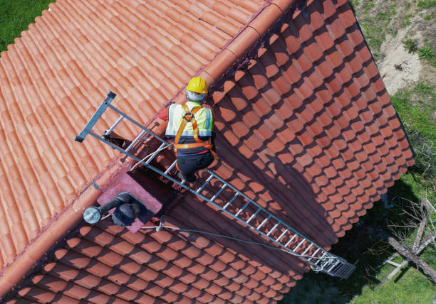 Best Chimney Flashing Repair  in Omao, HI